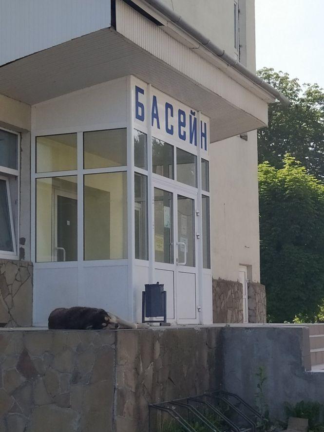 Козятин у фото: як виглядає територія вокзалу, фото №5 на сайті 20minut.ua