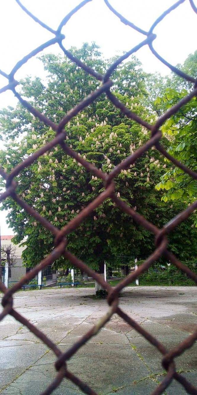 На місці Клітки щось збудують?, фото №1 на сайті 20minut.ua