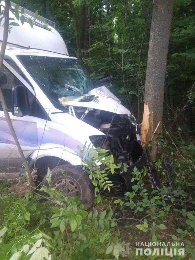 Mercedes в'їхав у дерево, а мопед — у паркан. В області сталося дві ДТП з потерпілими, фото №1 на сайті 20minut.ua
