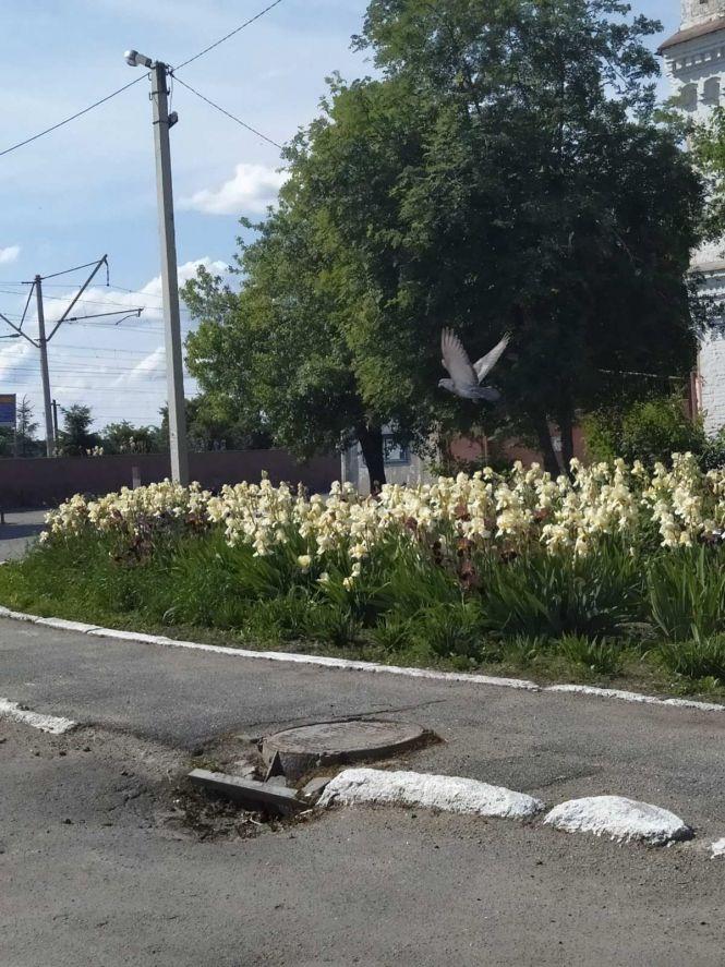 Козятин у фото: як виглядає територія вокзалу, фото №3 на сайті 20minut.ua