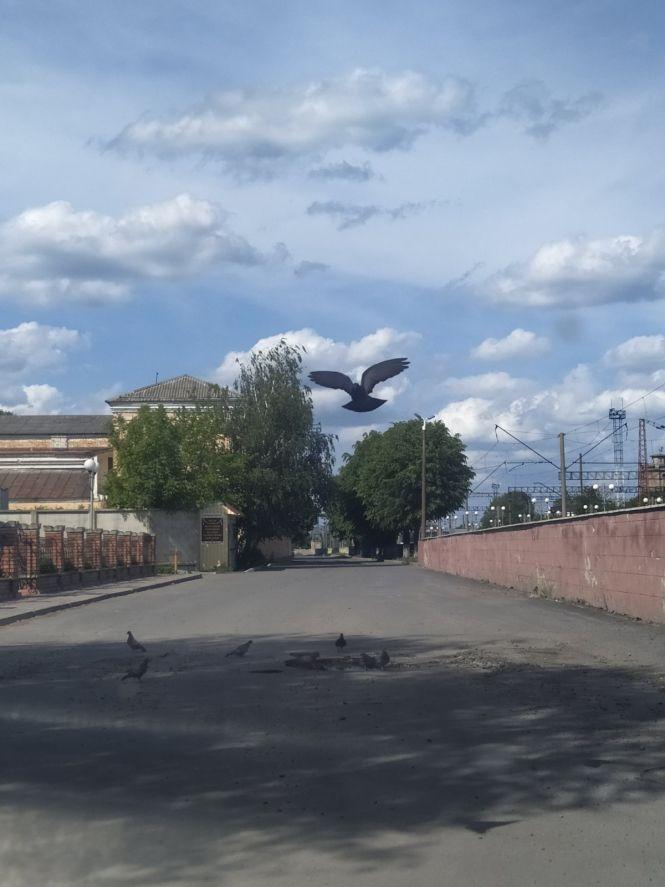 Козятин у фото: як виглядає територія вокзалу, фото №6 на сайті 20minut.ua