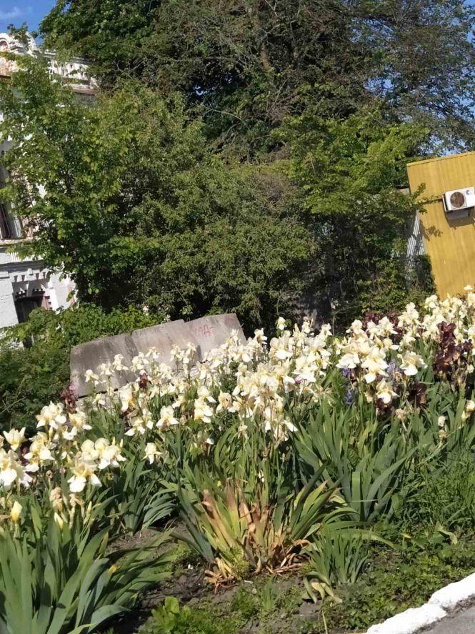 Козятин у фото: як виглядає територія вокзалу, фото №2 на сайті 20minut.ua