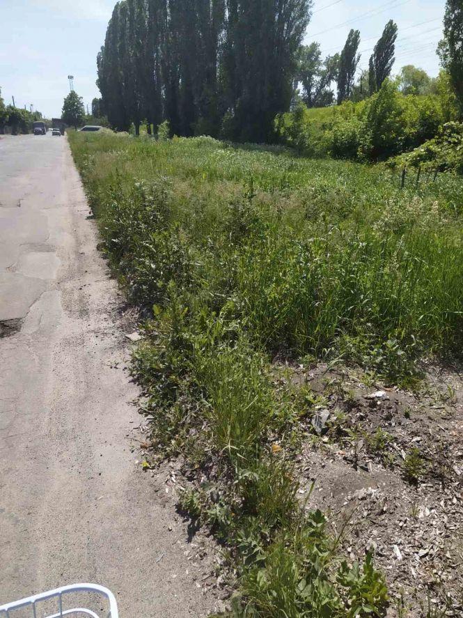 Козятин у фото: не скошена трава, аварійні люки та іриси, фото №7 на сайті 20minut.ua