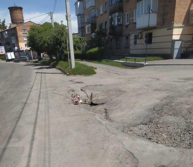 Козятин у фото: не скошена трава, аварійні люки та іриси, фото №4 на сайті 20minut.ua