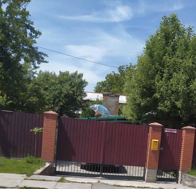 Козятин у фото: не скошена трава, аварійні люки та іриси, фото №1 на сайті 20minut.ua