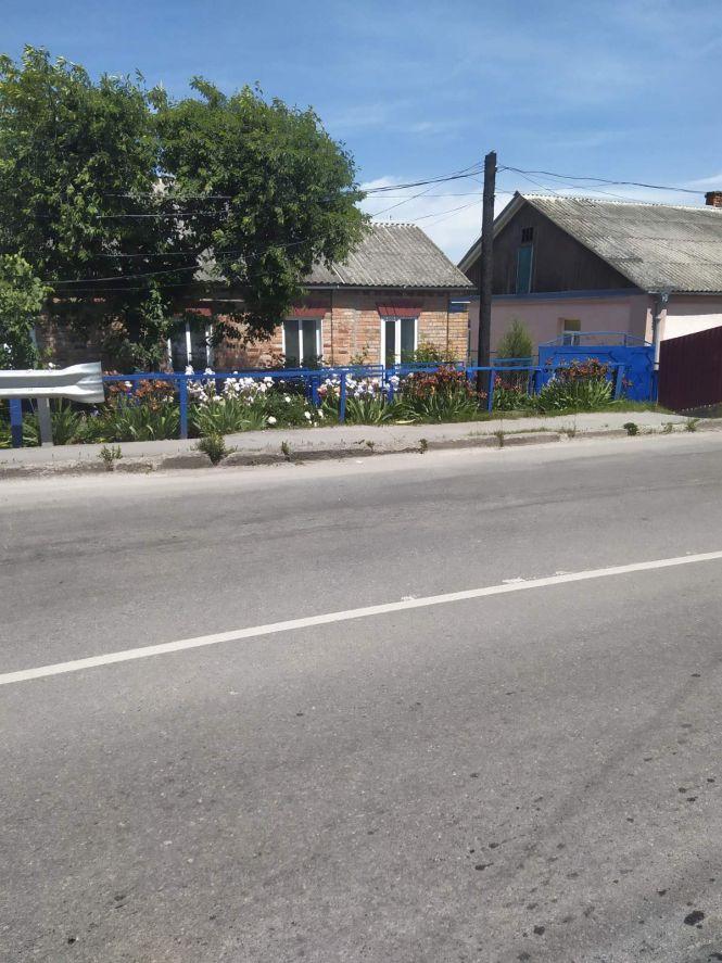 Козятин у фото: не скошена трава, аварійні люки та іриси, фото №9 на сайті 20minut.ua