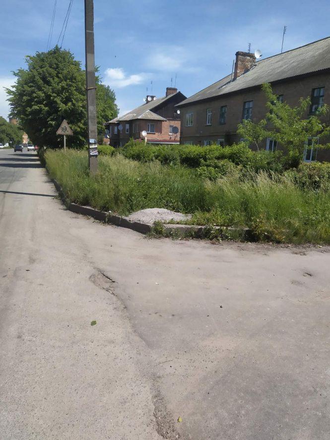 Козятин у фото: не скошена трава, аварійні люки та іриси, фото №12 на сайті 20minut.ua