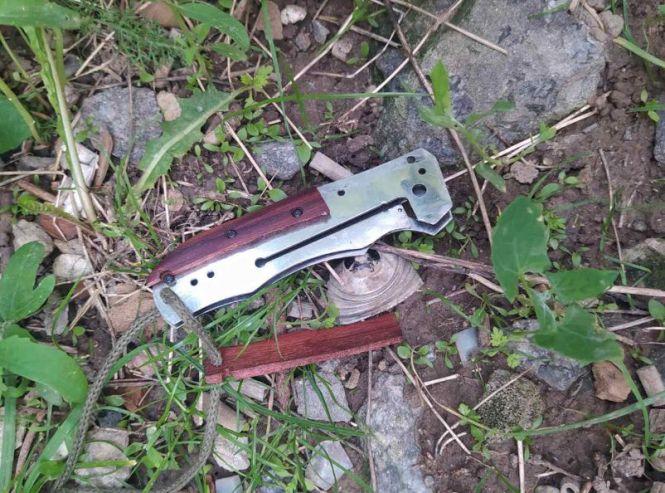 Новини Вінниці - фото з У Вінниці з ножем напали на водія тролейбусу, але поліцейські охорони оперативно затримали винуватців (Пресслужба Управління поліції охорони) У Вінниці з ножем напали на водія тролейбусу, але поліцейські охорони оперативно затримали винуватців (Пресслужба Управління поліції охорони), фото №1 на сайті 20minut.ua