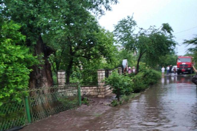 Повалені дерева та затоплені двори: наслідки негоди на Хмельниччині (ФОТО), фото №3 на сайті vsim.ua