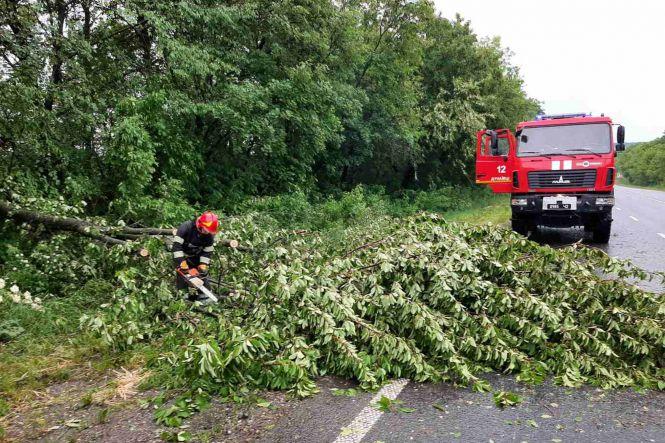 Повалені дерева та затоплені двори: наслідки негоди на Хмельниччині (ФОТО), фото №1 на сайті vsim.ua