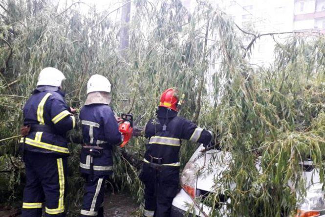 Повалені дерева та затоплені двори: наслідки негоди на Хмельниччині (ФОТО), фото №5 на сайті vsim.ua