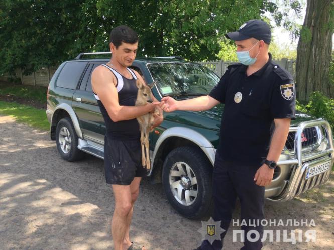 Новини Вінниці - фото з Поліцейські передали зоопарку маля козулі, яке знайшли під час відпрацювання Поліцейські передали зоопарку маля козулі, яке знайшли під час відпрацювання, фото №2 на сайті 20minut.ua