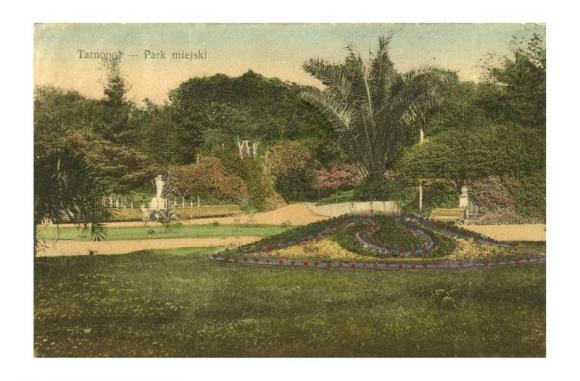 Новини Тернополя - фото з Якими рослинами прикрашали Тернопіль століття тому Якими рослинами прикрашали Тернопіль століття тому, фото №1 на сайті 20minut.ua