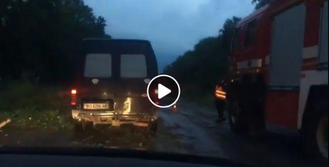 Повалені дерева, підтоплені будинки, знеструмлені села: негода наробила біди на Тернопільщині (ОНОВЛЕНЕ), фото №1 на сайті 20minut.ua