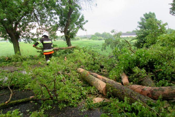 Деревопад, пожежа та підтоплення: негода наробила лиха на Хмельниччині (ФОТО), фото №1 на сайті vsim.ua