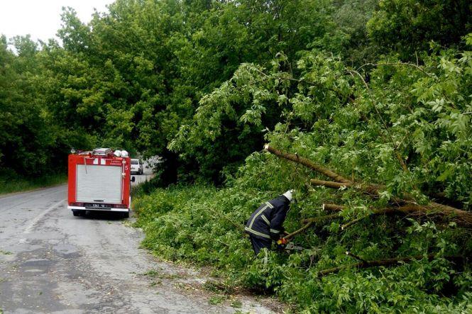Деревопад, пожежа та підтоплення: негода наробила лиха на Хмельниччині (ФОТО), фото №3 на сайті vsim.ua