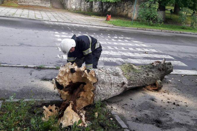 Деревопад, пожежа та підтоплення: негода наробила лиха на Хмельниччині (ФОТО), фото №4 на сайті vsim.ua
