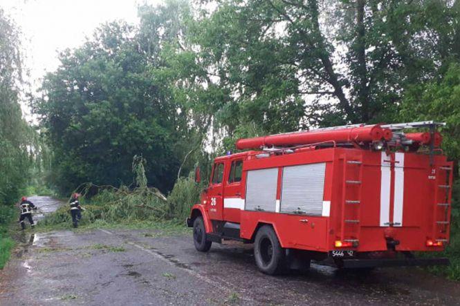 Деревопад, пожежа та підтоплення: негода наробила лиха на Хмельниччині (ФОТО), фото №2 на сайті vsim.ua