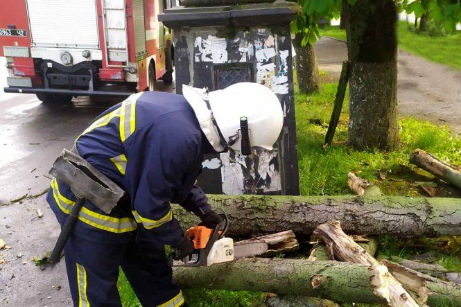 Деревопад, пожежа та підтоплення: негода наробила лиха на Хмельниччині (ФОТО), фото №5 на сайті vsim.ua