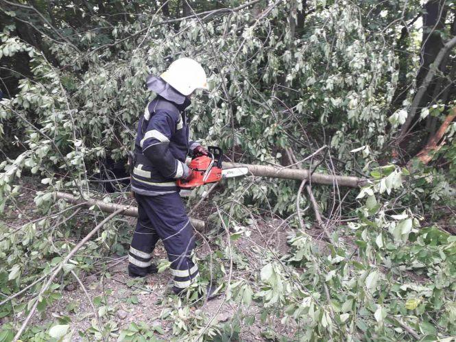 Новини Вінниці - фото з У Тростянецькому районі Citroen в'їхав у лісосмугу. Є загиблий У Тростянецькому районі Citroen в'їхав у лісосмугу. Є загиблий, фото №3 на сайті 20minut.ua