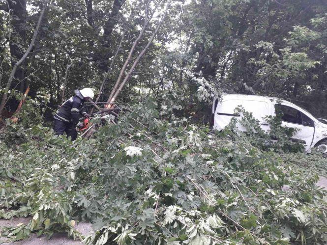 Новини Вінниці - фото з У Тростянецькому районі Citroen в'їхав у лісосмугу. Є загиблий У Тростянецькому районі Citroen в'їхав у лісосмугу. Є загиблий, фото №4 на сайті 20minut.ua