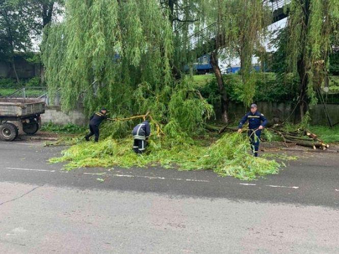 Шквал та гроза: негода на Вінниччині встигла наробити лиха, фото №4 на сайті 20minut.ua
