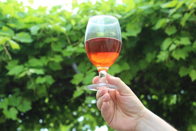 «Вино, як жінка, кожен день різне». Вінничанин про своє домашнє виноробство, фото №3 на сайті 20minut.ua