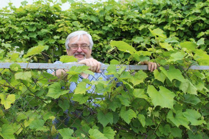 «Вино, як жінка, кожен день різне». Вінничанин про своє домашнє виноробство, фото №2 на сайті 20minut.ua