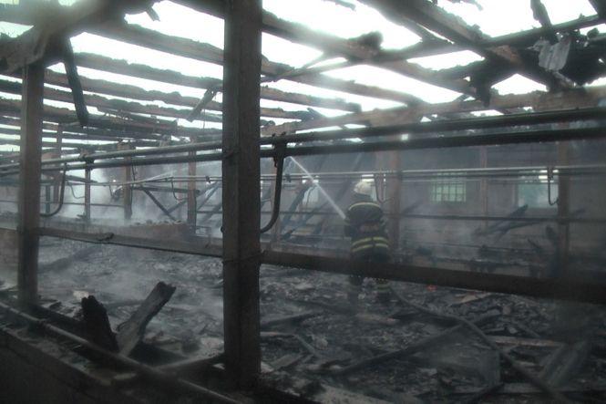 Масштабна пожежа. На Хмельниччині блискавка спалила ферму (ФОТО, ВІДЕО), фото №3 на сайті vsim.ua