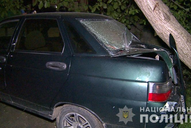 П'яна жінка на «ВАЗ» в'їхала у чотирьох маленьких діток, які гралися на обочині
