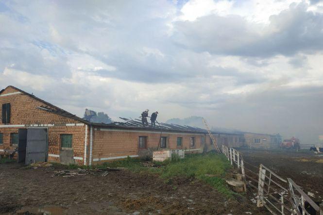 Масштабна пожежа. На Хмельниччині блискавка спалила ферму (ФОТО, ВІДЕО), фото №9 на сайті vsim.ua