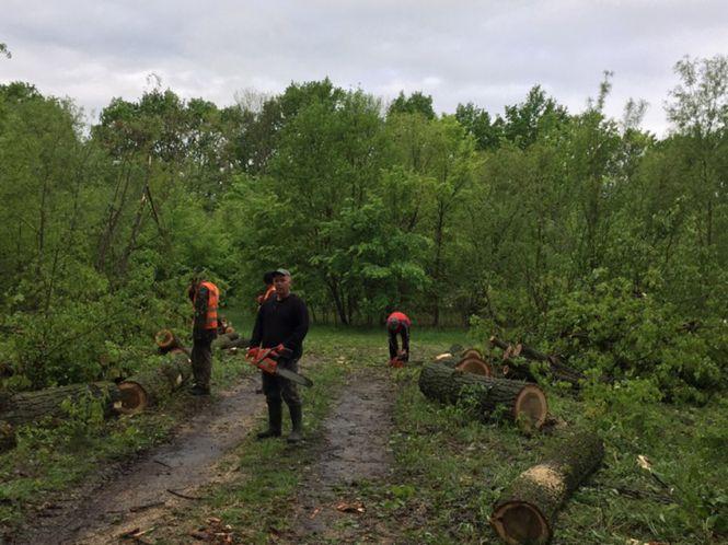 Громада Троковичів - проти вирубки дерев, фото №1 на сайті 20minut.ua