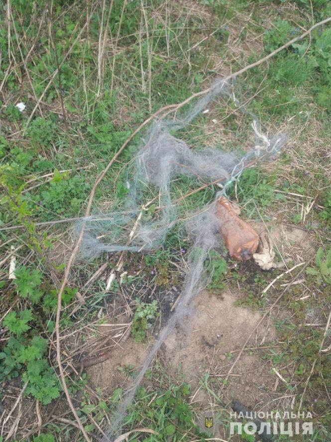 Новини Вінниці - фото з Понад 350 кілограмів риби за два місяці виловили на Вінниччині браконьєри Понад 350 кілограмів риби за два місяці виловили на Вінниччині браконьєри, фото №1 на сайті 20minut.ua