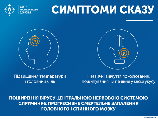Новини Тернополя - фото з На Тернопільщині скажений кіт покусав свого господаря