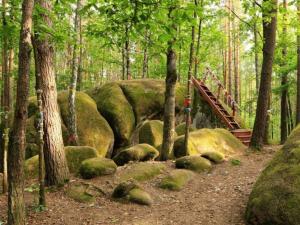 ТОП-7 місць Житомирщини, куди можна поїхати на відпочинок влітку, фото №7 на сайті 20minut.ua