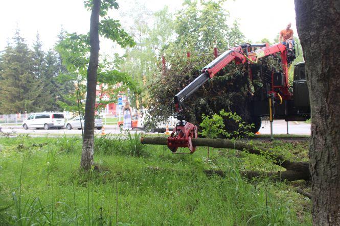 Новини Вінниці - фото з Конфлікт сусідів на Порика. Через зрубані дерева пенсіонер збирається йти до суду Конфлікт сусідів на Порика. Через зрубані дерева пенсіонер збирається йти до суду, фото №6 на сайті 20minut.ua