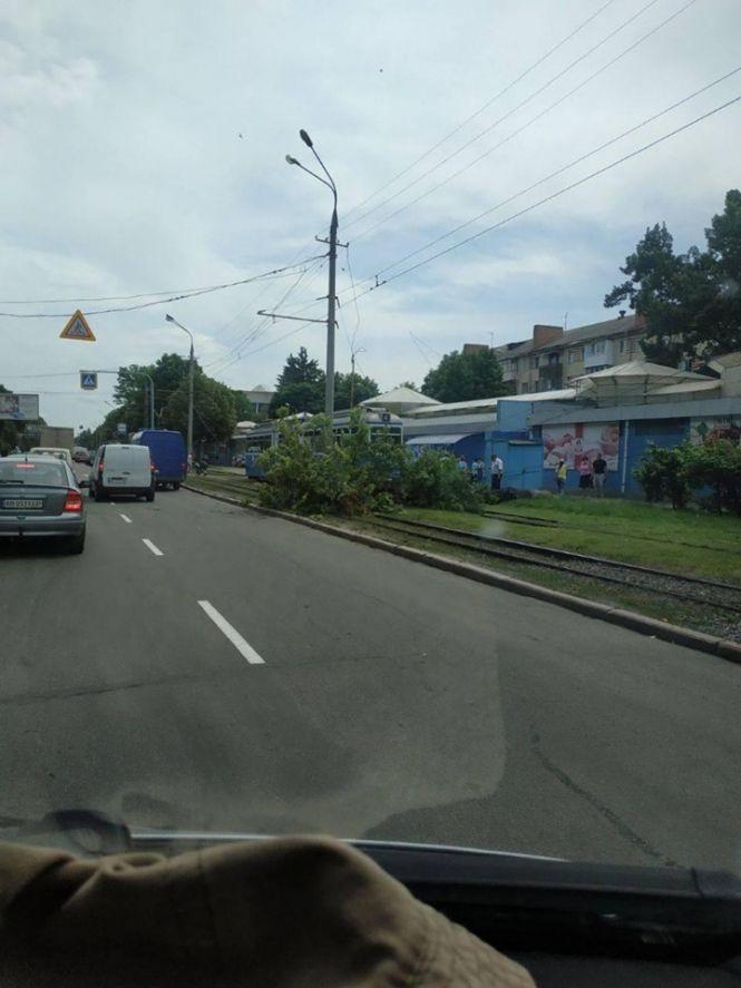 Новини Вінниці - фото з На Хмельницькому шосе дерево впало на трамвайну колію На Хмельницькому шосе дерево впало на трамвайну колію, фото №1 на сайті 20minut.ua