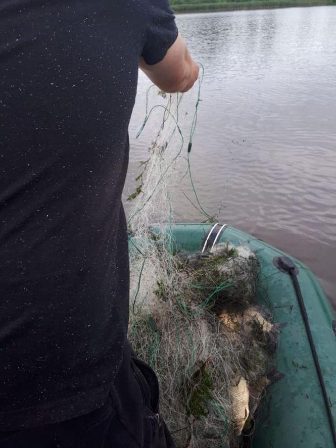 Новини Тернополя - фото з На Тернопільщині спіймали рибалку-браконьєра з непоганим уловом (ФОТО) На Тернопільщині спіймали рибалку-браконьєра з непоганим уловом (ФОТО), фото №1 на сайті 20minut.ua