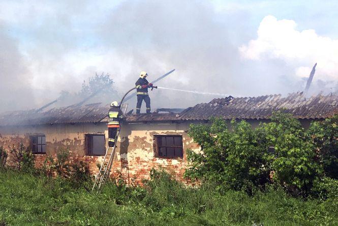 Повалені дерева і розряд блискавки. Що негода наробила на Хмельниччині, фото №1 на сайті vsim.ua