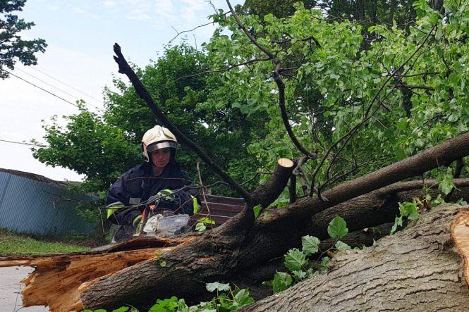 Знову повалені дерева і пожежа від блискавки:  на Хмельниччині боряться з наслідками негоди, фото №3 на сайті vsim.ua