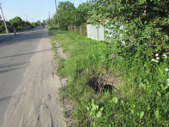 Новини Козятина - фото з Рейд по Козятину: молочна річка, асфальт в калюжу та майданчик-шедевр Рейд по Козятину: молочна річка, асфальт в калюжу та майданчик-шедевр, фото №8 на сайті 20minut.ua