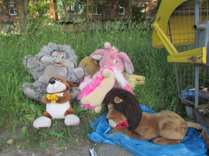 Новини Козятина - фото з Рейд по Козятину: молочна річка, асфальт в калюжу та майданчик-шедевр Рейд по Козятину: молочна річка, асфальт в калюжу та майданчик-шедевр, фото №2 на сайті 20minut.ua