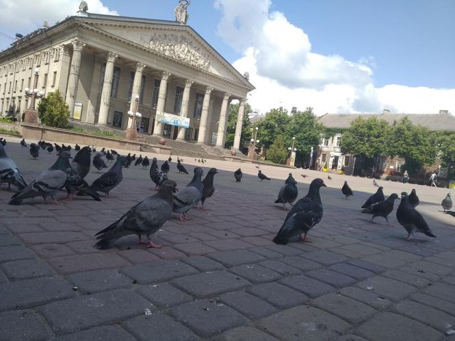 Новини Тернополя - фото з Як виглядає Тернопіль на вихідні: Фоторепортаж Як виглядає Тернопіль на вихідні: Фоторепортаж, фото №6 на сайті 20minut.ua