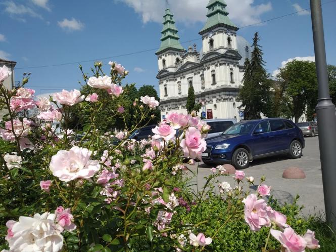 Новини Тернополя - фото з Як виглядає Тернопіль на вихідні: Фоторепортаж Як виглядає Тернопіль на вихідні: Фоторепортаж, фото №4 на сайті 20minut.ua