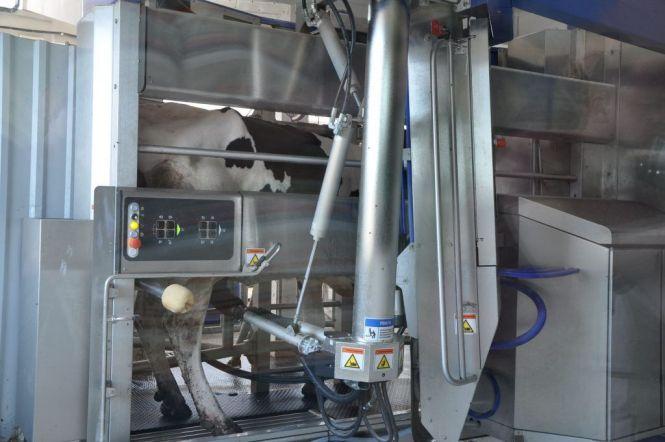 Новини Вінниці - фото з Напитися молока,  яке здоїв робот. Вінничан запрошують у Чечельник на молочну екскурсію Напитися молока,  яке здоїв робот. Вінничан запрошують у Чечельник на молочну екскурсію, фото №3 на сайті 20minut.ua