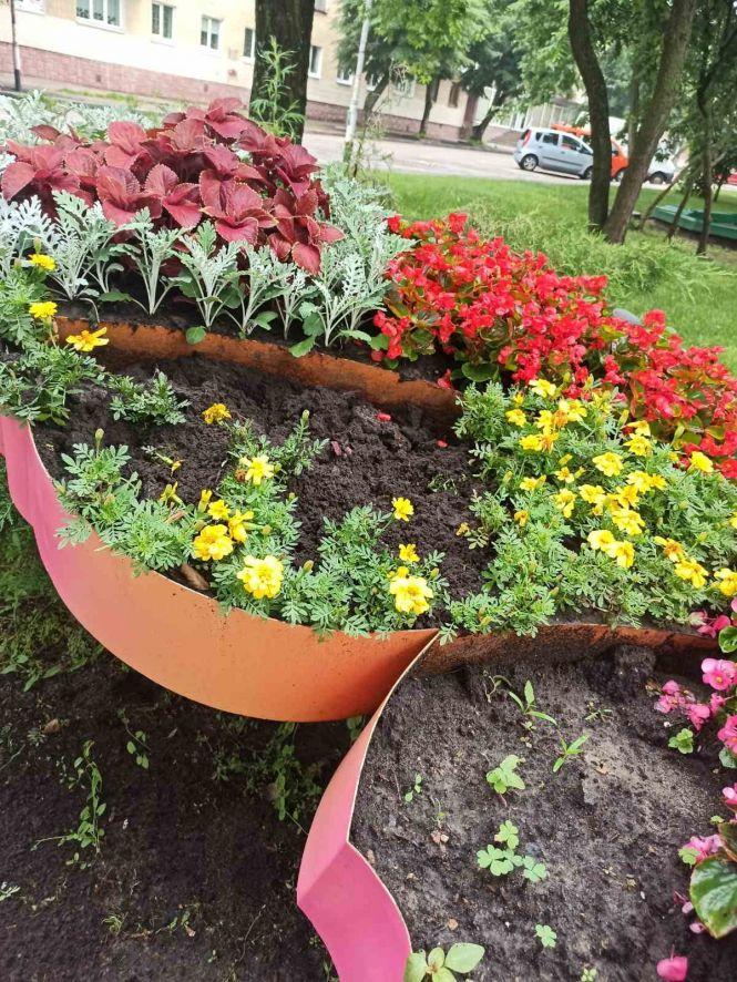 Новини Житомира - фото з На Новому бульварі знову вкрали квіти з  "Метелика" На Новому бульварі знову вкрали квіти з  "Метелика", фото №2 на сайті 20minut.ua