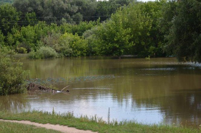 Новини Вінниці - фото з Ямполю також загрожує повінь: Вінницька ОДА домовилася з Молдовою про скид води Ямполю також загрожує повінь: Вінницька ОДА домовилася з Молдовою про скид води, фото №1 на сайті 20minut.ua
