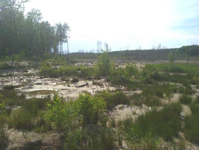 Новини Житомира - фото з Правоохоронці не виявили нових фактів порушень у місцях видобутку бурштину на Олевщині Правоохоронці не виявили нових фактів порушень у місцях видобутку бурштину на Олевщині, фото №1 на сайті 20minut.ua