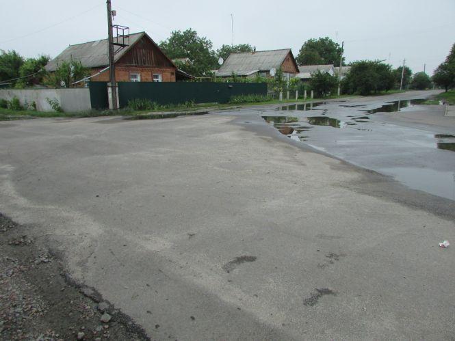 На земельних ділянках провулку Лісовий можна сіяти рис — вологи вистачає, фото №2 на сайті 20minut.ua