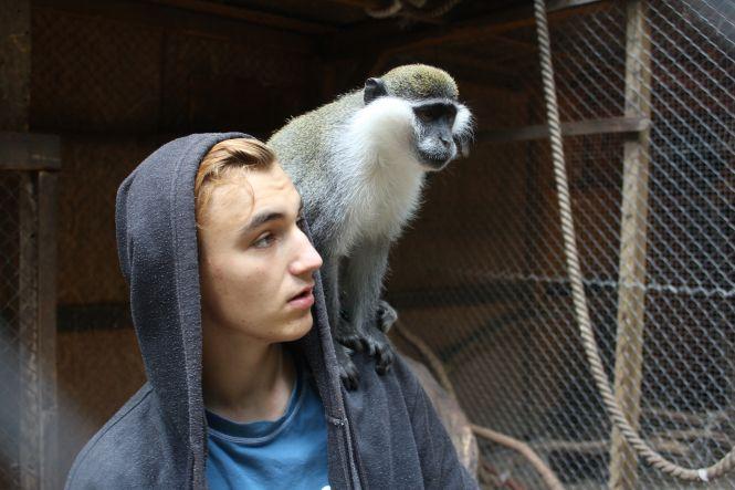 Новини Вінниці - фото з «Готуємо вольєр для сурикатів»: посткарантинне життя вінницького міні-зоопарку «Готуємо вольєр для сурикатів»: посткарантинне життя вінницького міні-зоопарку, фото №2 на сайті 20minut.ua